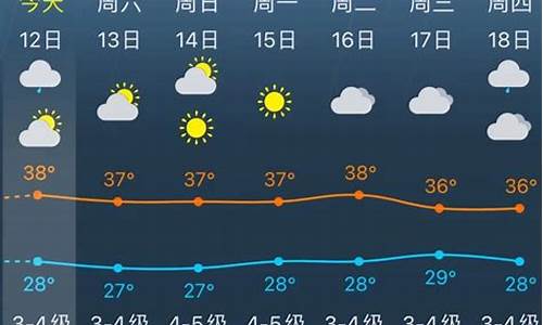 上海金山天气预报30天准确 一个月_上海