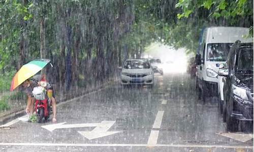 青岛暴雨天气预报15天_青岛暴雨天气预报