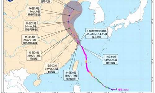 2022年台风列表_2024年台风表